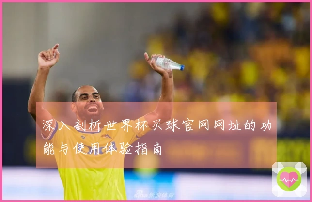 深入剖析世界杯买球官网网址的功能与使用体验指南