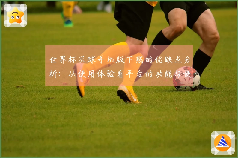 世界杯买球手机版下载的优缺点分析：从使用体验看平台的功能与便捷性
