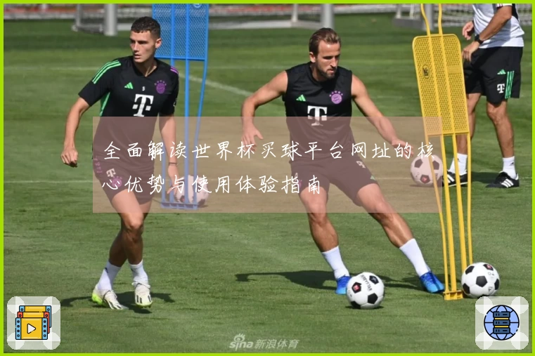 全面解读世界杯买球平台网址的核心优势与使用体验指南