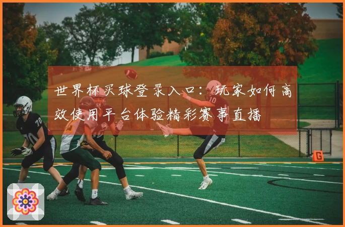 世界杯买球登录入口：玩家如何高效使用平台体验精彩赛事直播
