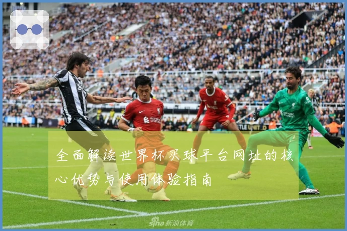全面解读世界杯买球平台网址的核心优势与使用体验指南