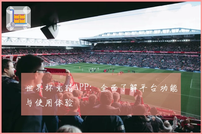 世界杯竞猜APP：全面了解平台功能与使用体验